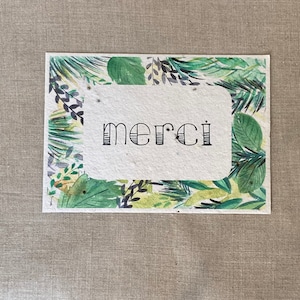 Carte à planter A6 - Merci Jungle - herbes aromatiques