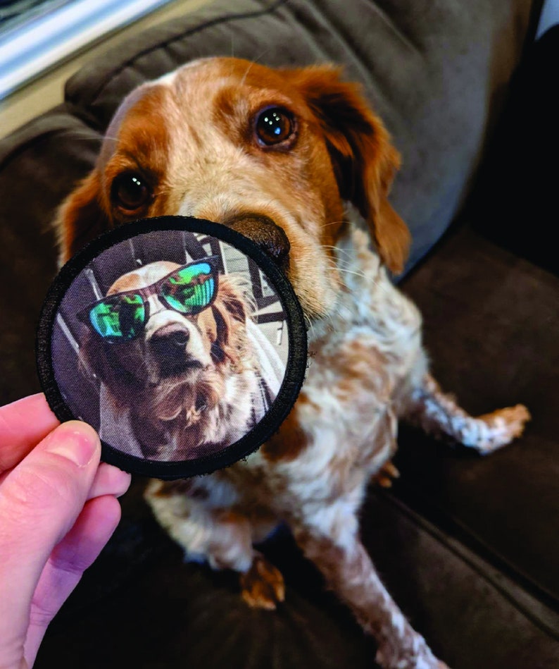 May include: A round, black patch with a white border features a photo of a dog wearing green sunglasses. The dog is looking directly at the camera.