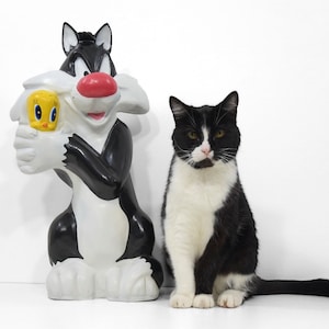 Looney Tunes Warner Bros. Sylvester with Tweety.