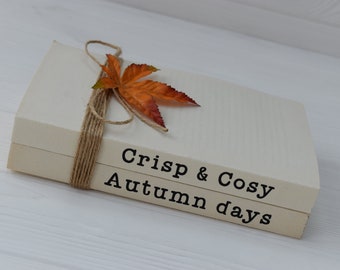 Crisp and Cosy, Autumn days, Autumn book stack, Fall stacked books, rustic decorative books