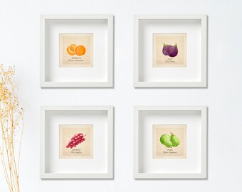 Set of 4 watercolor fruit prints of your choice, fruits prints, kitchen prints, kitchen decor, botanicat art, vintage decoration