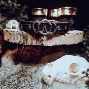 Ouroboros Leather Choker: Veg Tan, Silver Buckle