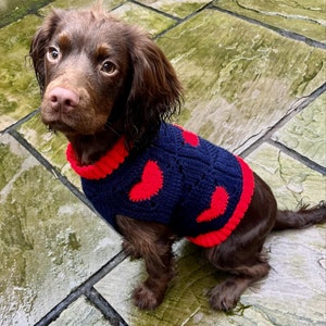 May include: A brown dog wearing a navy blue and red crochet sweater. The sweater features red heart-shaped designs and a red collar and trim. The dog is sitting on a stone surface.
