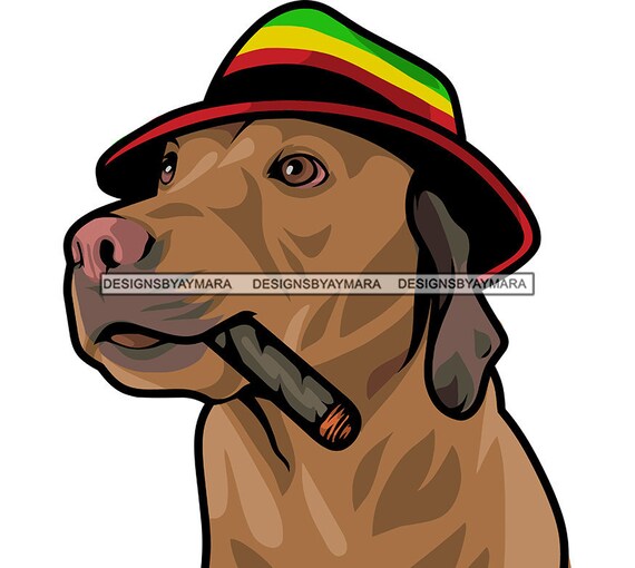 Hund Rauchen Zigarette Hut Vergnugen Papier Logo Frisches Gras Etsy