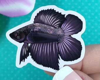 2in Betta Fish Sticker Black Doubletail, Vinyl Sticker, Betta Fish Gift, Betta Fish Lover, Water Bottle Sticker, Hydroflask, Laptop Decal