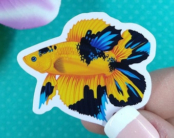 2in Betta Fish Sticker Black & Yellow Doubletail, Vinyl Sticker, Betta Fish Gift, Betta Fish Lover, Water Bottle Sticker, Hydroflask, Decal