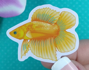 2in Betta Fish Sticker Yellow Doubletail, Vinyl Sticker, Betta Fish Gift, Betta Fish Lover, Water Bottle Sticker, Hydroflask, Laptop Decal