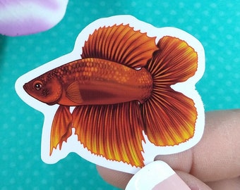2in Betta Fish Sticker Red Doubletail, Vinyl Sticker, Betta Fish Gift, Betta Fish Lover, Water Bottle Sticker, Hydroflask, Laptop Decal