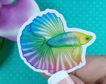 2in Betta Fish Sticker Rainbow Opal, Vinyl Sticker, Betta Fish Gift, Betta Fish Lover, Pet Gift, Water Bottle Sticker, Hydroflask, Decal