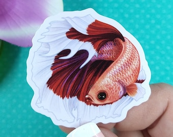 2in Betta Fish Sticker Red Cambodian Butterfly Halfmoon, Vinyl Sticker, Betta Fish Gift, Betta Fish Lover, Water Bottle Sticker, Hydroflask