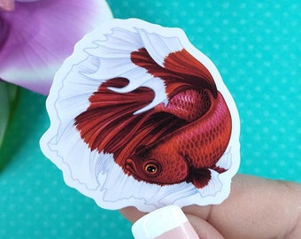 2in Betta Fish Sticker Red Butterfly Halfmoon, Vinyl Sticker, Betta Fish Gift, Betta Fish Lover, Water Bottle Sticker, Hydroflask, Decal