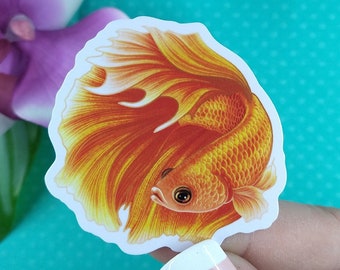 2in Betta Fish Sticker Orange Halfmoon, Vinyl Sticker, Betta Fish Gift, Betta Fish Lover, Pet Gift, Water Bottle Sticker, Hydroflask, Decal