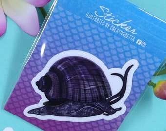3in Vinyl Purple Mystery Snail Sticker - Gift for Snail Lovers and Aquarium Lovers, Waterproof Decal, Laptop, Water Bottle Tumbler, Window