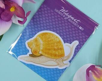 3in Magnet Gold Mystery Snail Gift for Aquarium Lover, Snail Lover, Fish Lover, Locker Magnet, Car Magnet, Fridge Magnet, Flexible Magnet