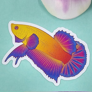 3in Glossy Vinyl Sticker Sunset Betta - Gift for Betta Fish Lover, Betta Fish Sticker, Waterproof Sticker, Tumbler Sticker, Laptop Decal