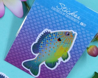 3in Glossy Vinyl Weatherproof Pumpkinseed Sunfish Sticker - Gift for Fish Lover, Aquarium, Tank, Decal, Window, Laptop, Tumbler, Skateboard