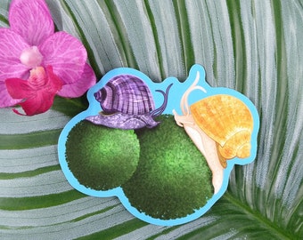 3in Mystery Snail Sticker,  Vinyl Sticker, Gift for Pet Snail, Water Bottle Sticker, Hydroflask Sticker, Laptop Decal, Aquarium Tank Decor