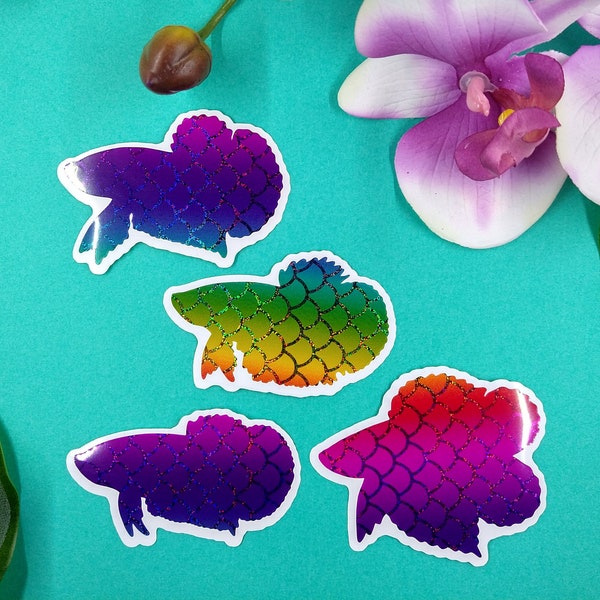 Transparent Rainbow Ombre Mermaid Vinyl Sticker - Gift For Betta Fish Lover, Waterproof Decal for Tumbler, Car, Phone, Laptop, Gift Tag