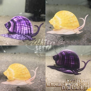 Freshwater snails petsmart clearance