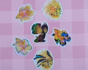 Clear Holographic Valentines Day Gift Sticker Pack, Betta Fish Gifts, Sticker Set, Laptop Stickers, Water Bottle Stickers, Vinyl Stickers