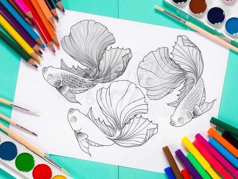 Digital Betta Fish Coloring Book Page Downloadable Line Art Etsy