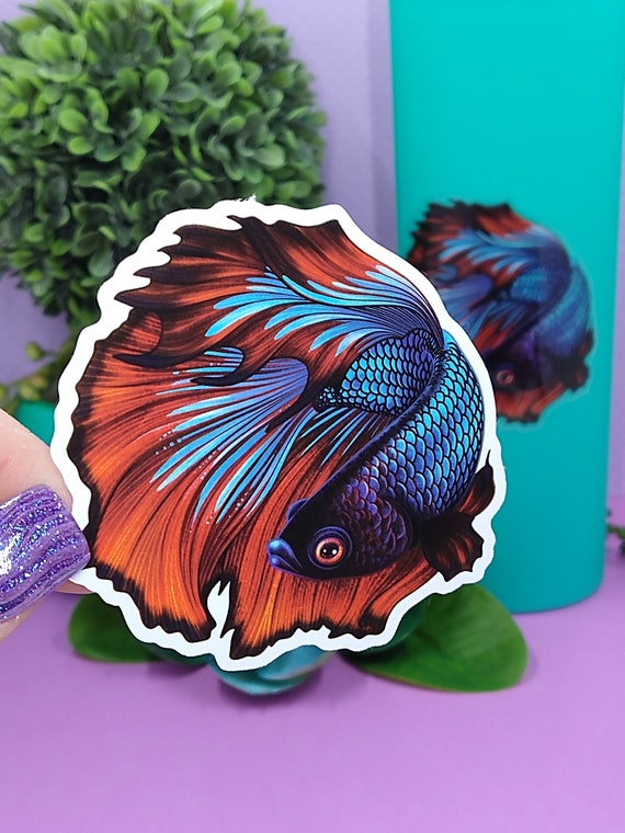 3in Betta Fish Sticker Blue & Red Bi Color, Clear Sticker, Betta