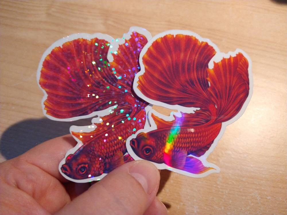 3in Holographic Sticker Red Betta Gift for Betta Fish Lover Etsy