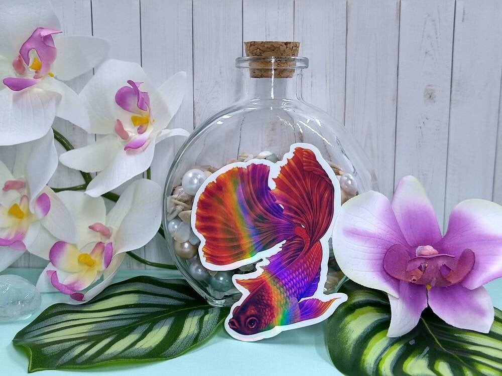 3in Holographic Sticker Red Betta Gift for Betta Fish Lover Etsy
