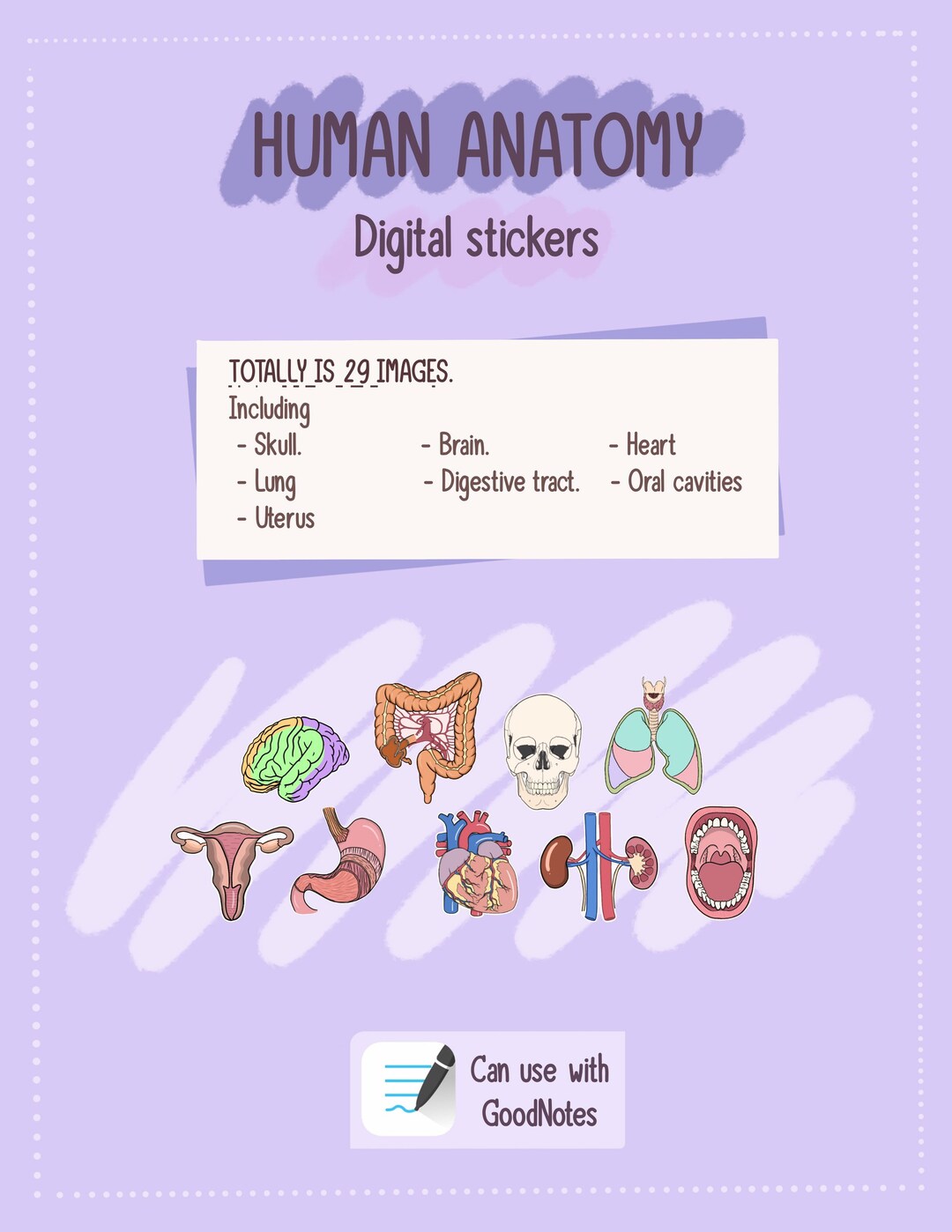 Anatomy Stickers Digital Stickers Goodnotes Stickers PNG Etsy