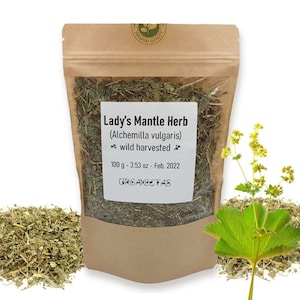 Erva orgânica natural LADY&#39;S MANTLE, Alchemilla Vulgaris, chá de ervas secas naturais Wild Harvest (100g/3,53 oz.) Envio e entrega para todo o mundo