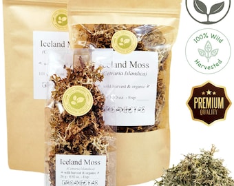 Organic ICELAND MOSS Cetraria islandica Organic Raw Dry Islandic Lichen 100g / 3.5 oz. Wild Harvested Big Raw Pieces