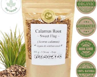 Calamus Root Herb / Tea (Acorus Calamus) Organic Loose Rhizome Sweet Flag Premium Quality from Europe - Calamus Root, Flag Root, Beewort