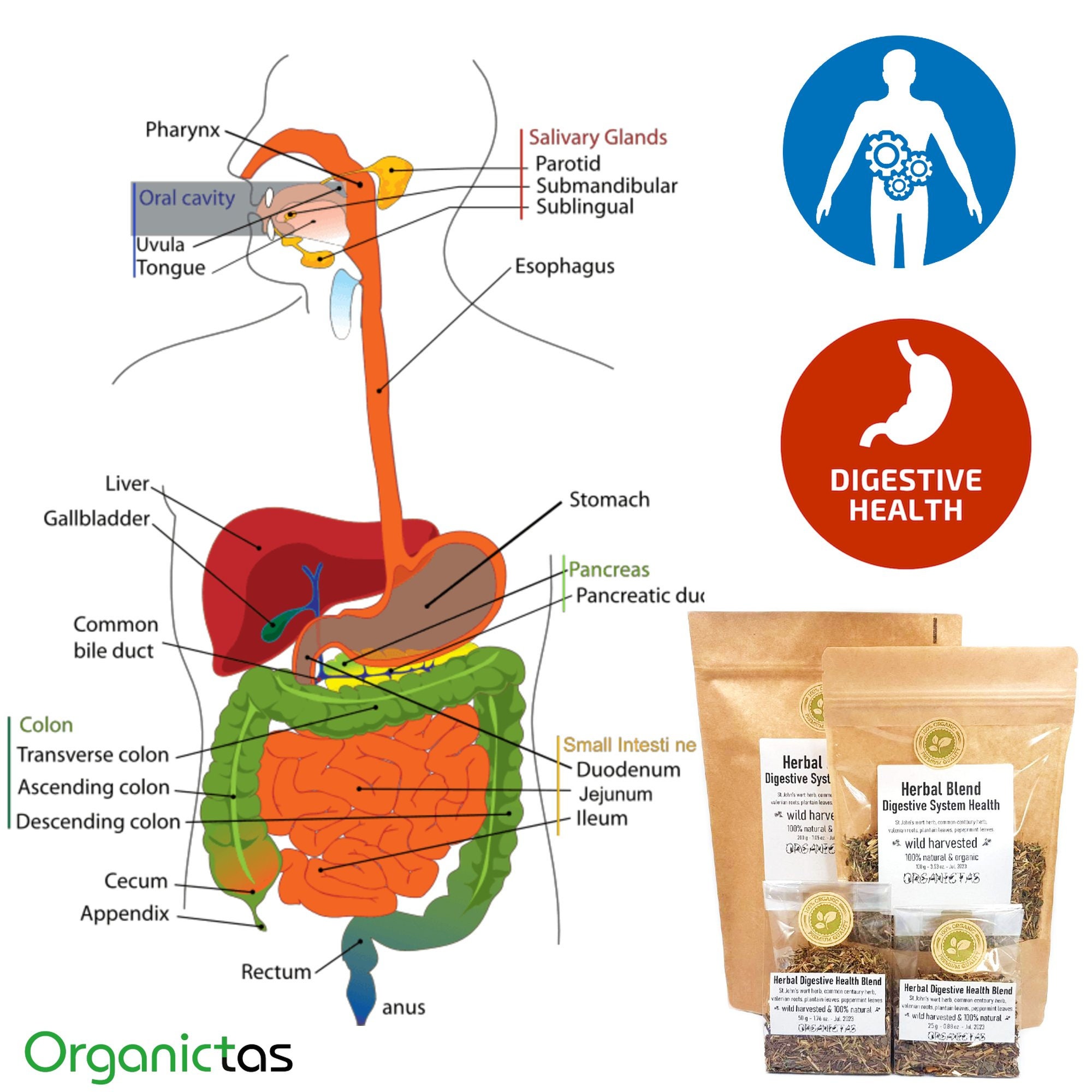 Herbal Digestion Blend Tea With 5 Selected Herbs for Digestive Etsy UK