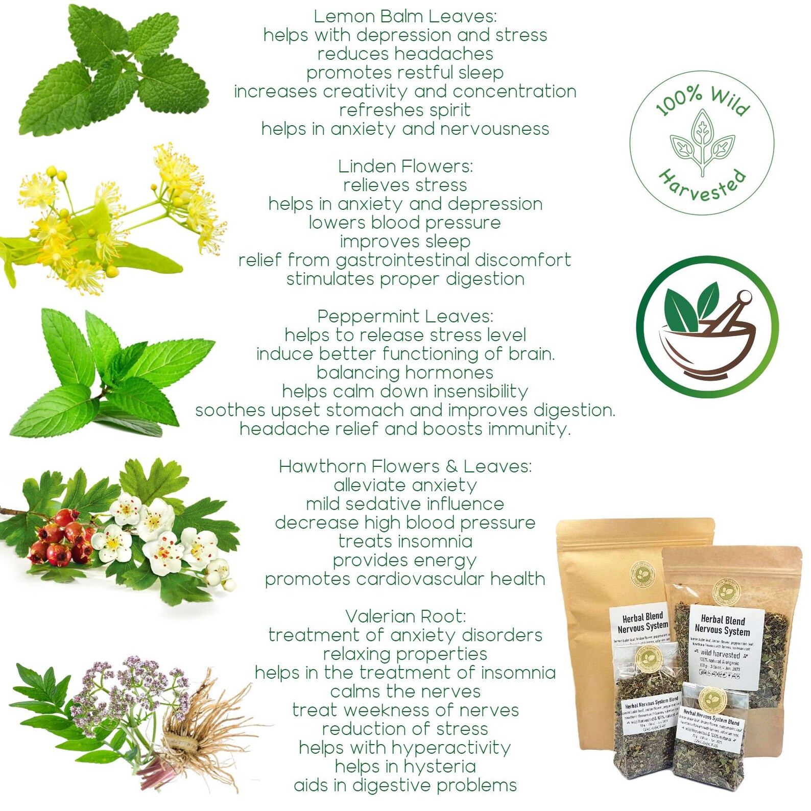 Herbal Tea Blend for Nervous System Health AntiStress Etsy