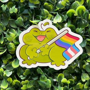 Stickers vinyle brillant grenouille drapeau Pride