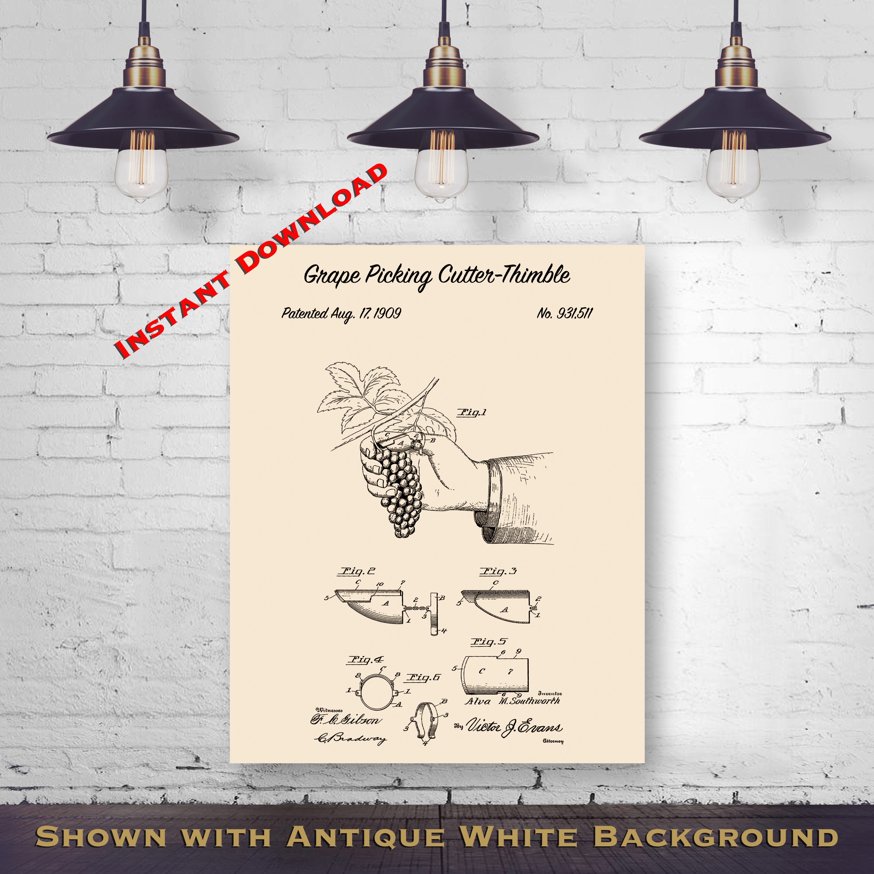 Digital Download Botanist Art Printable Download Last Minute Gift 1909 Grape Picking Cutter-Thimble 8x10 Printable Patent Print