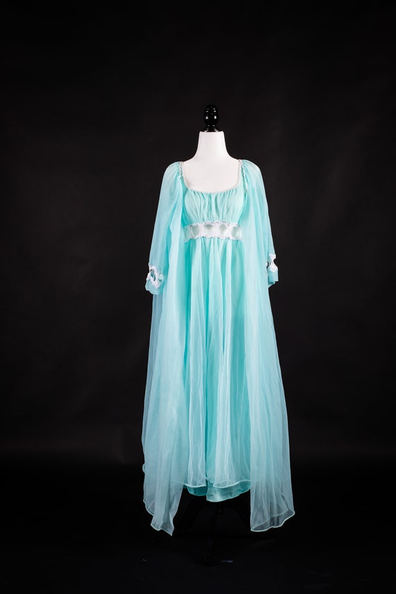 Vintage Chiffon NightGown