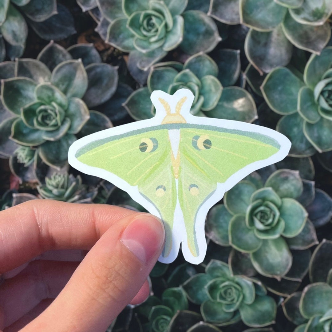 Luna Moth Sticker for Laptop, Notebook, Water Bottle normal or Holo - Etsy