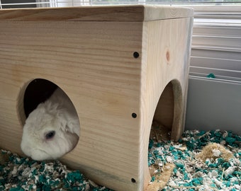 Bunny House