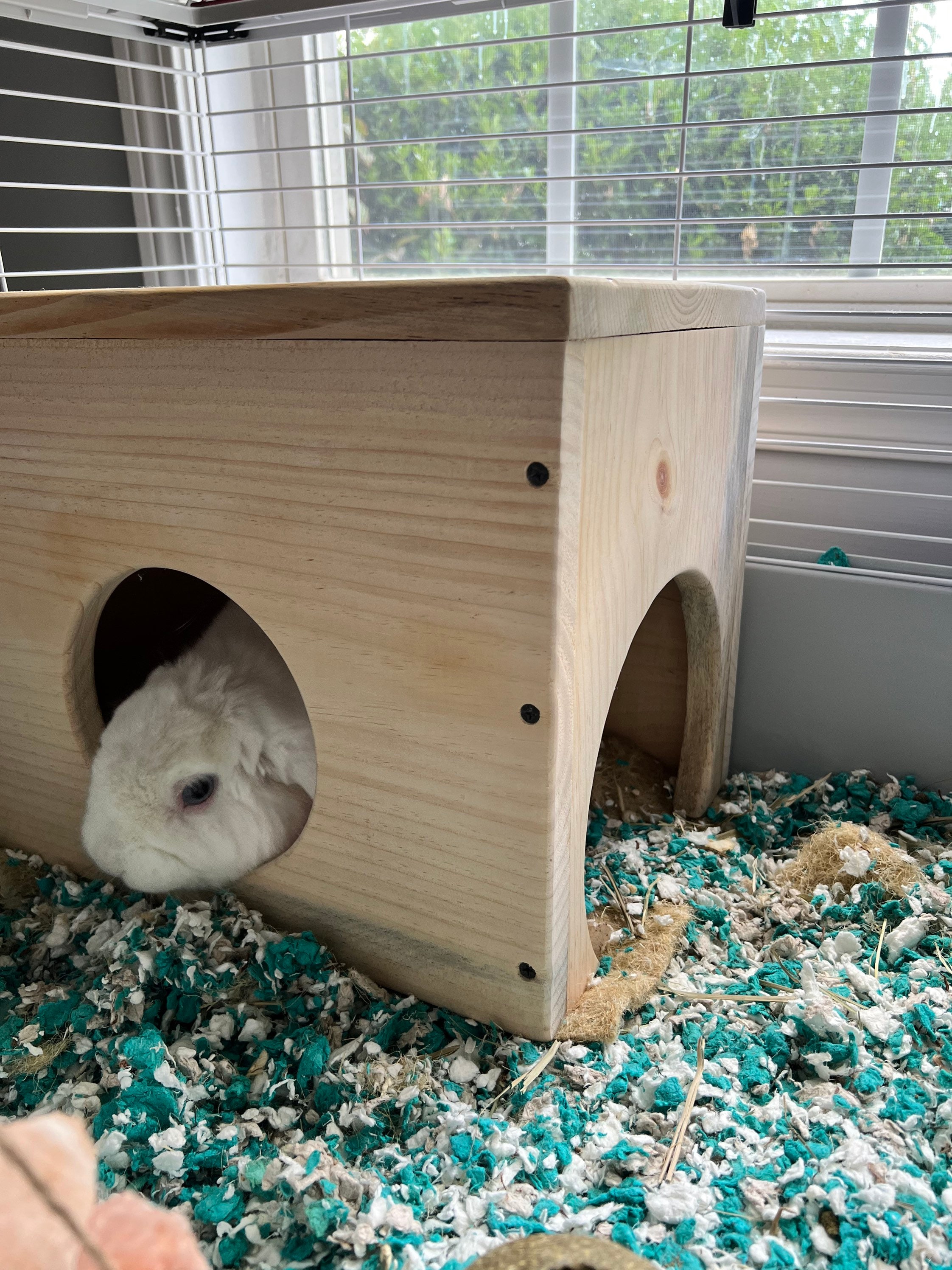 Bunny hide house 2025