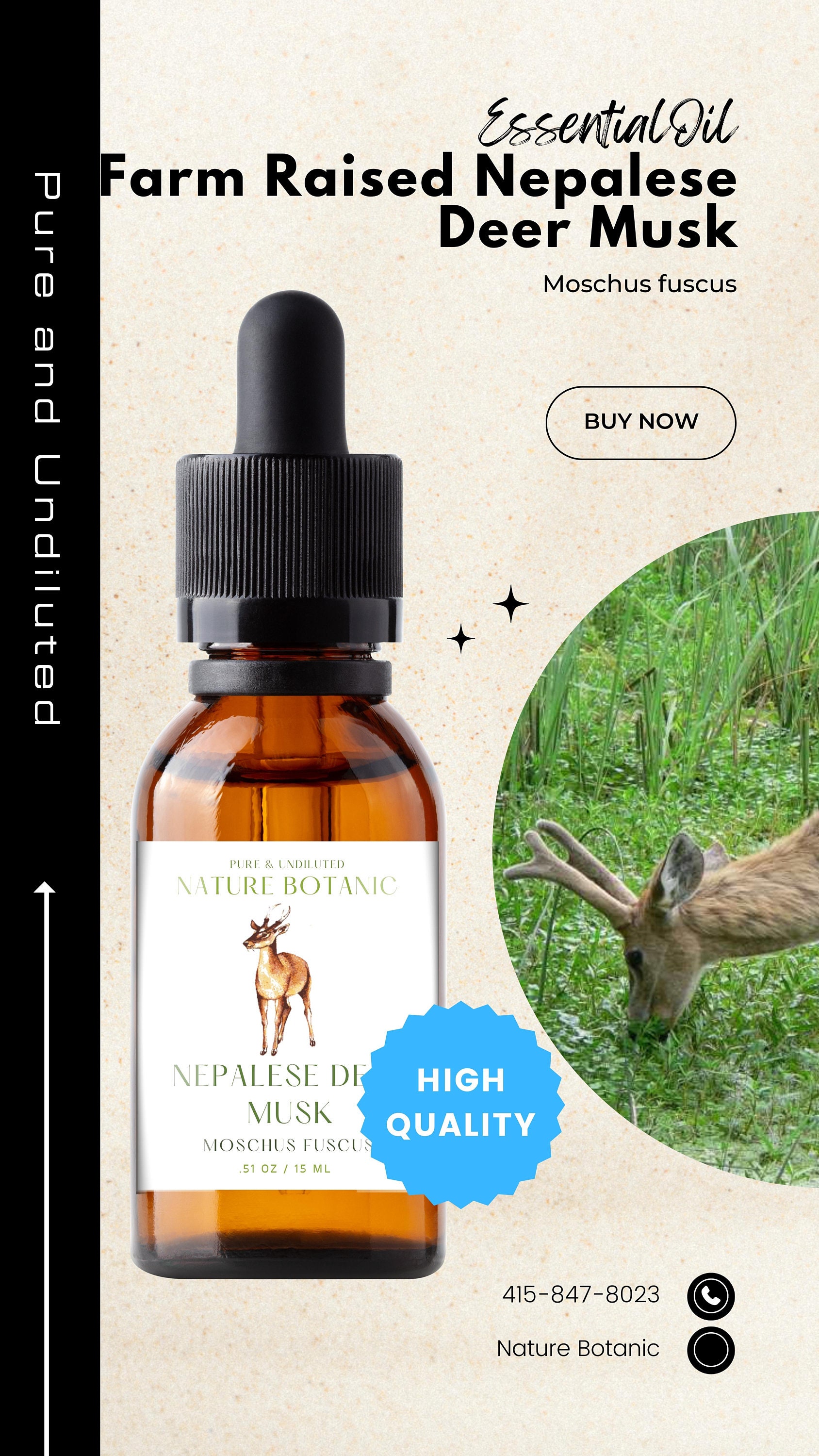Buy Deer Musk Oil Online In India Etsy India