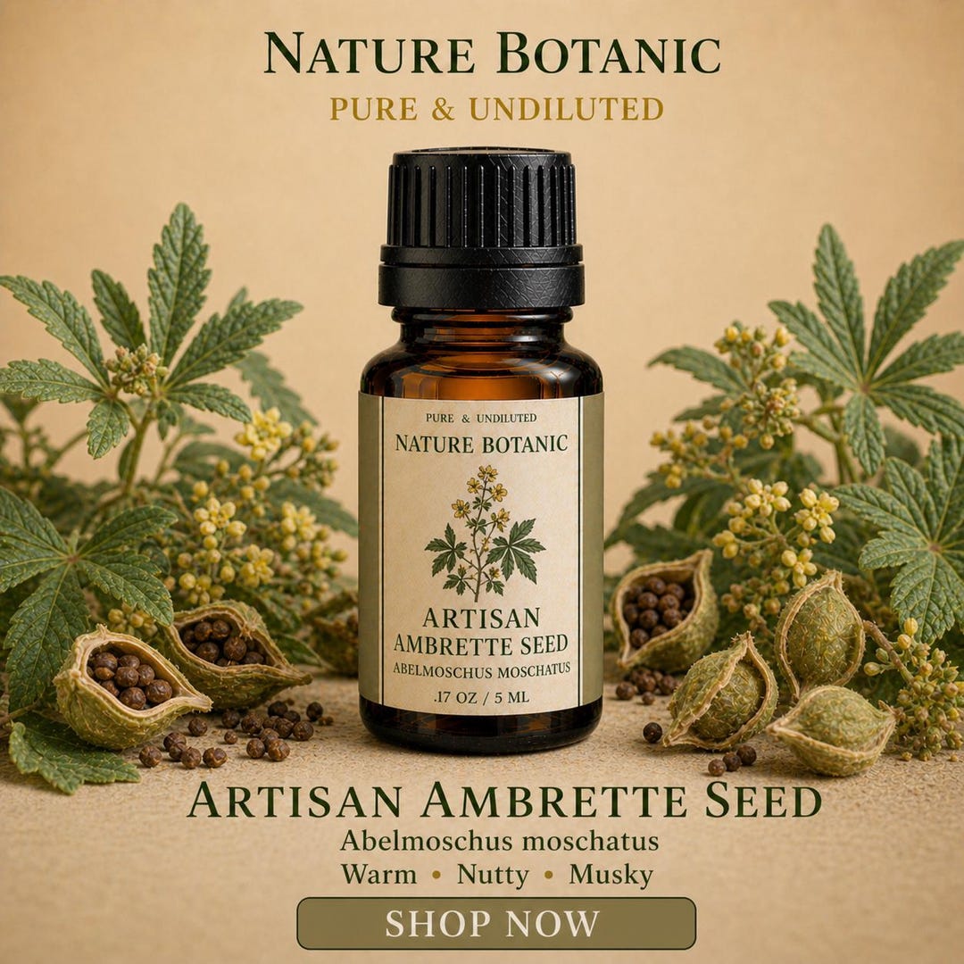 Artisan Made Ambrette Seed - Pure Undiluted Essential Oil - Etsy