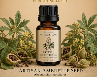 Aceite esencial puro sin diluir de semillas de ambreta elaborado artesanalmente
