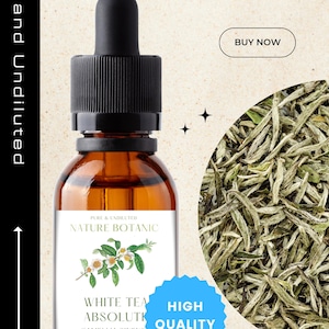 White Tea Absolute - Pure Undiluted Essential Oil