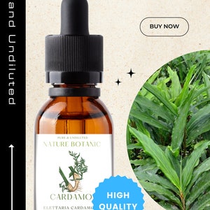 Organic Cardamom - Pure Undiluted Essential Oil