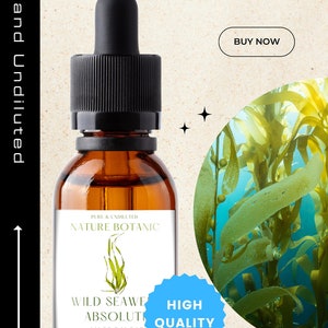 Rare Wild Seaweed Absolute - Pure Undiluted Essential Oil