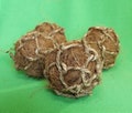 NATURAL (2) Coconut Husk Fiber Ball Toy for ALL Birds\/Parrots - Conure, Quaker, Finch, Lovebird, Parrotlet, Senegal, Myers etc.Nest Material