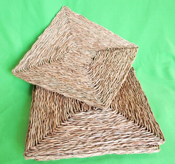 NATURAL 11.5" Woven Seagrass Mat (x2) for all Birds/Parrots & Small Animals - Sea Grass Chew Mats