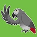 Hello Bird Stuff
