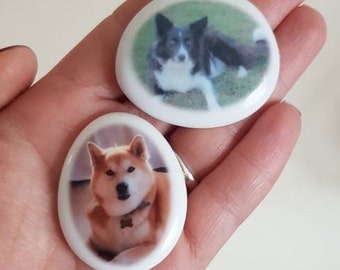 Personalized Photo Pebble, Pet Memorial Gift, Fridge Magnet